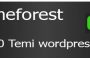 Temi wordpress themeforest
