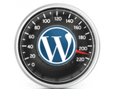 ottimizzare wordpress
