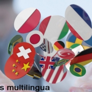 sito wordpress multilingua