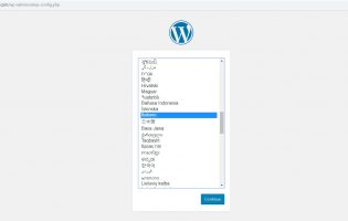 lingua wordpress