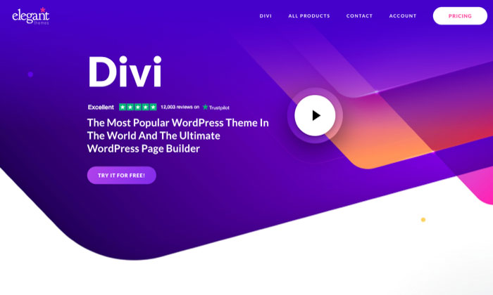 tema ecommerce divi