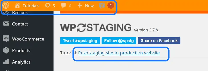tutorial wp staging