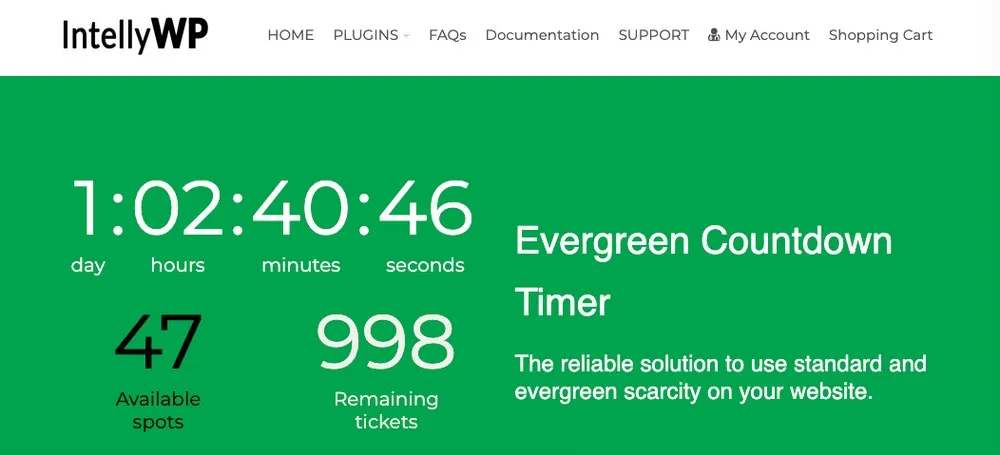 evergreen timer plugin