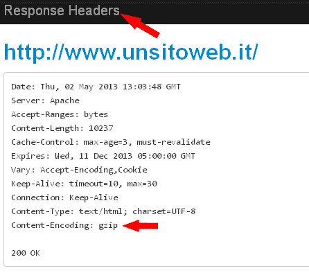 Controllo Compressione gzip Tramite Firefox
